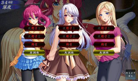 《家庭隶属物语》12集