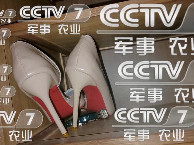 FYTV福音影视客户端15421111