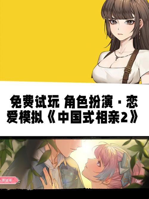 中国式相亲2入