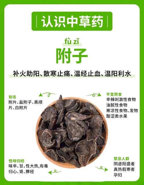 附子10克能起到效果吗