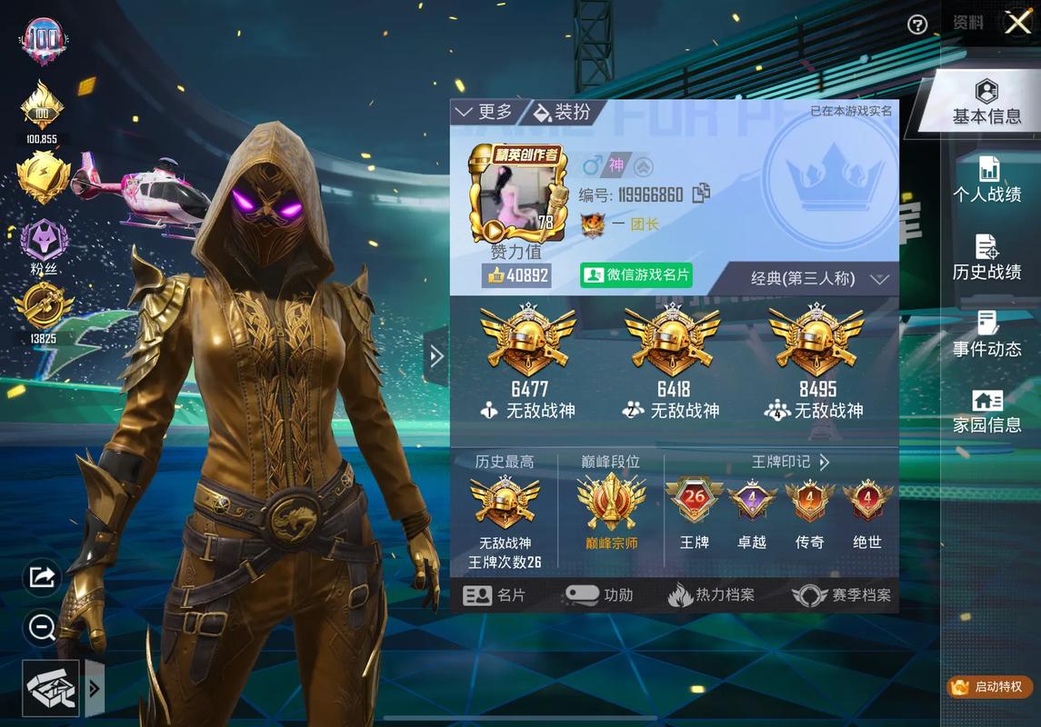 极客白嫖v10