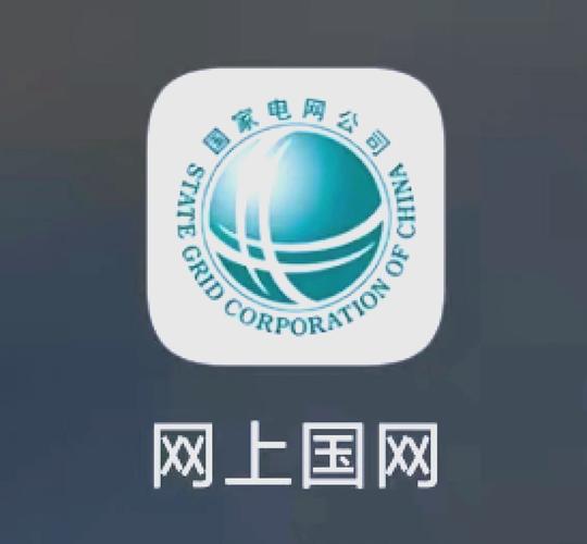 国网电网app