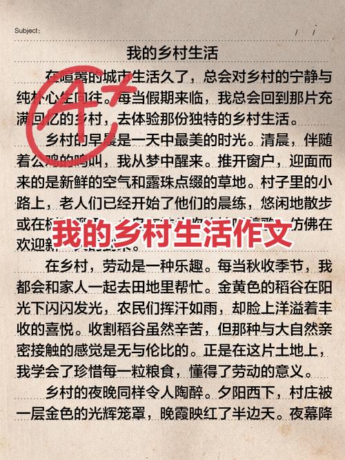我的乡村生活自