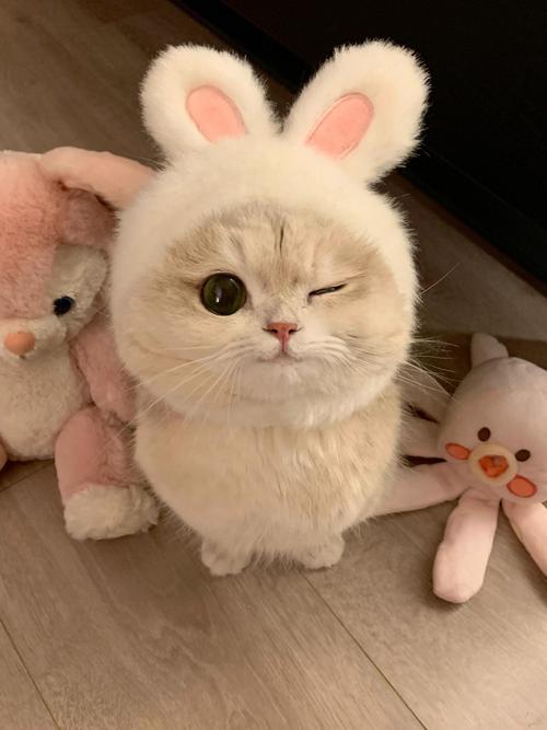wink153