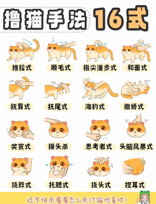 catskiss猫研社教程经典版
