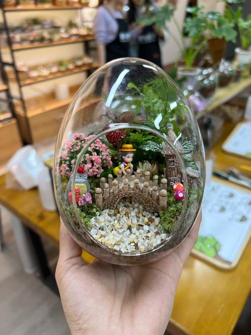 玩家自制植物大