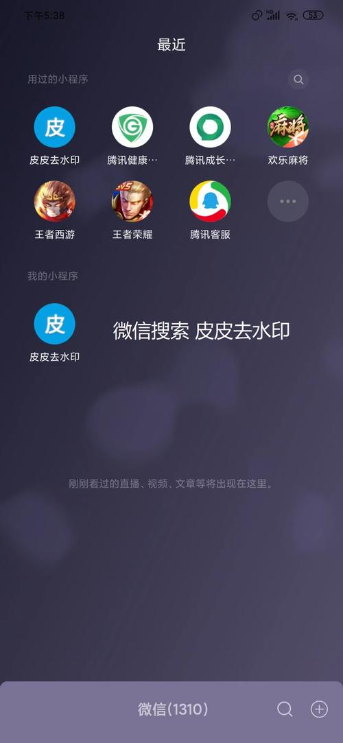 皮皮去水印新版