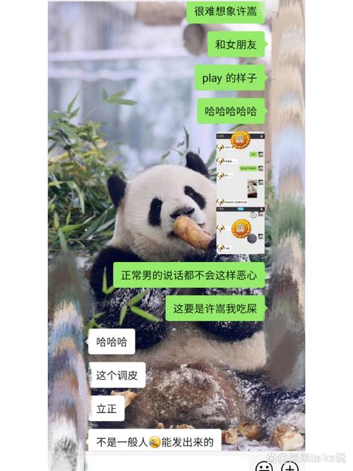 微信p图聊天记录