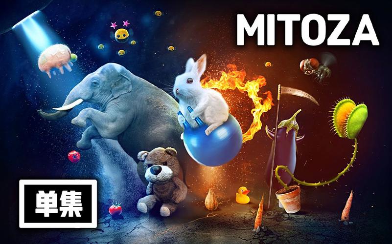 mitoza安