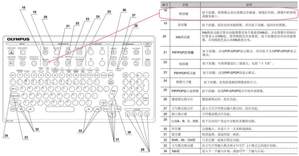 dlfc2023教程