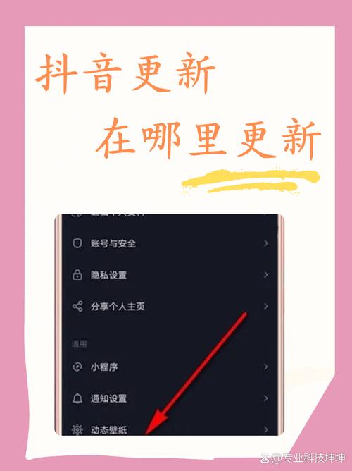 抖音去升级