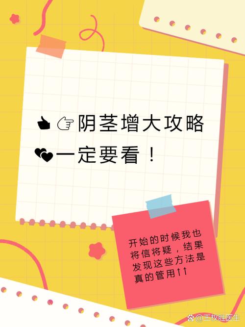 DD5同志版教