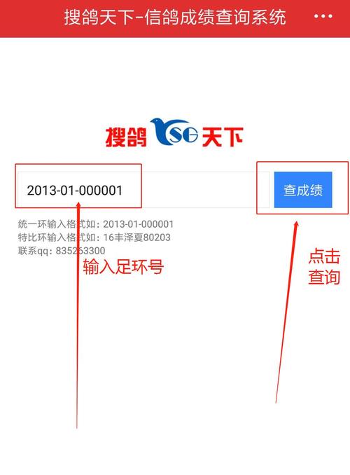 搜鸽网查询足环