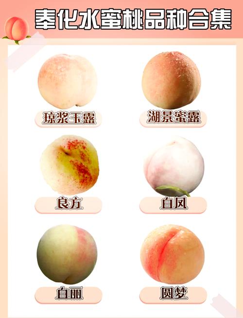 水蜜桃817去永久免费版