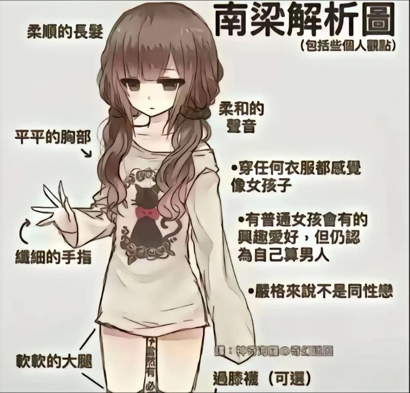 伪娘聊天十大排名