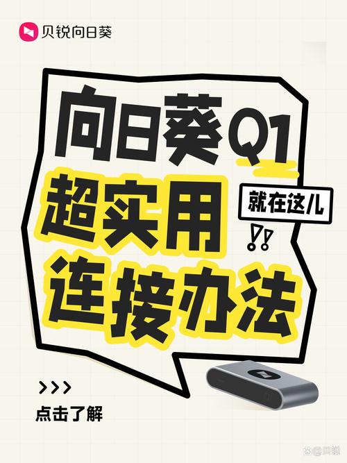 q1本在线安装版