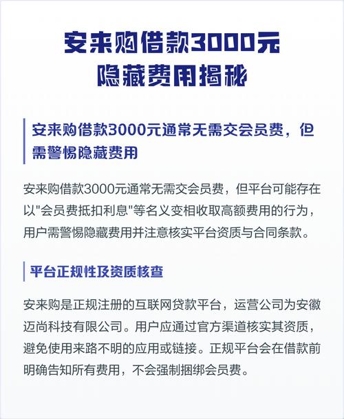 安来购借款3000元