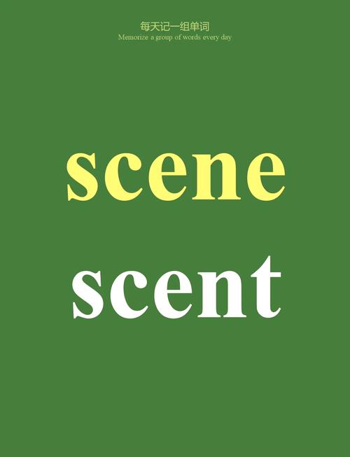 Scene81极速版