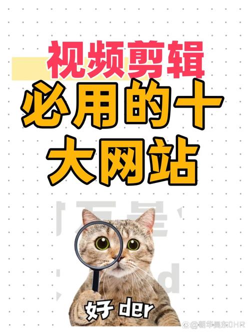mixkit免费高清视频最新版永久会员app