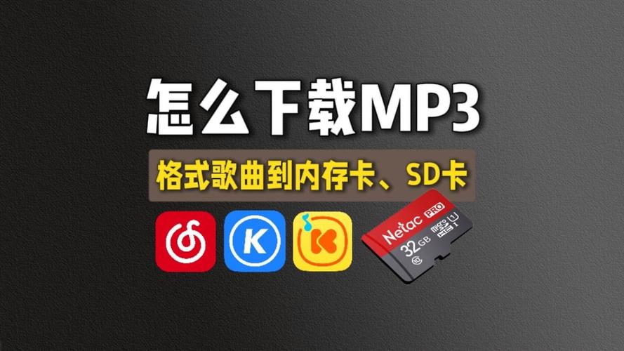 sd卡下载音乐