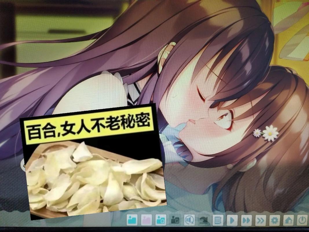 百合会300页面版