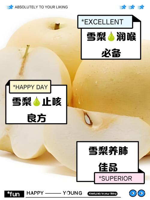 pear雪梨官方版的功能