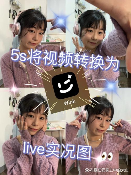wink转免费版