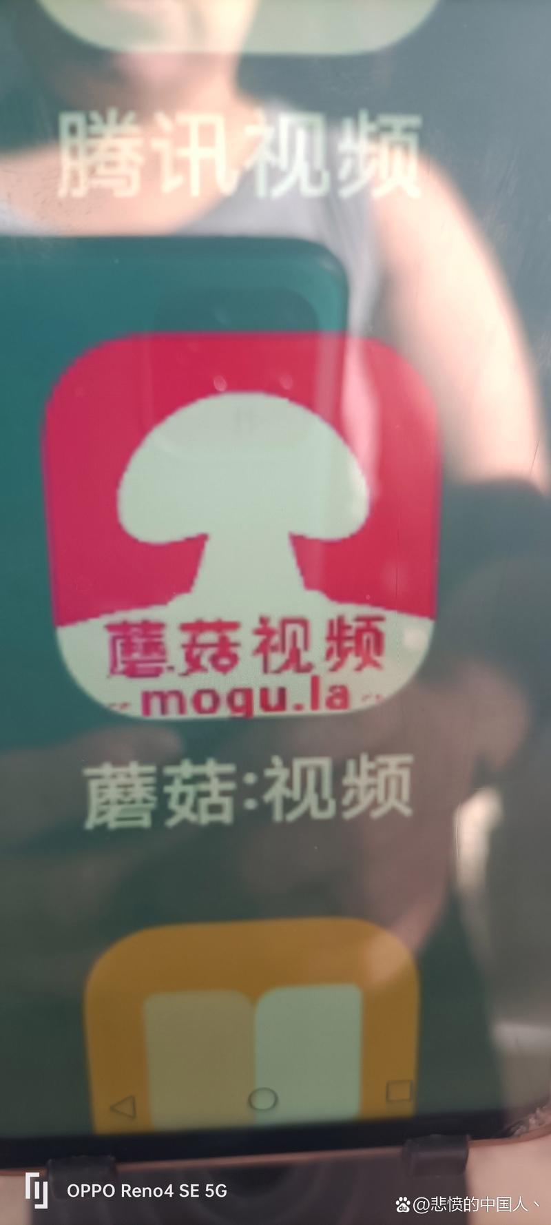 蘑菇tv官网入