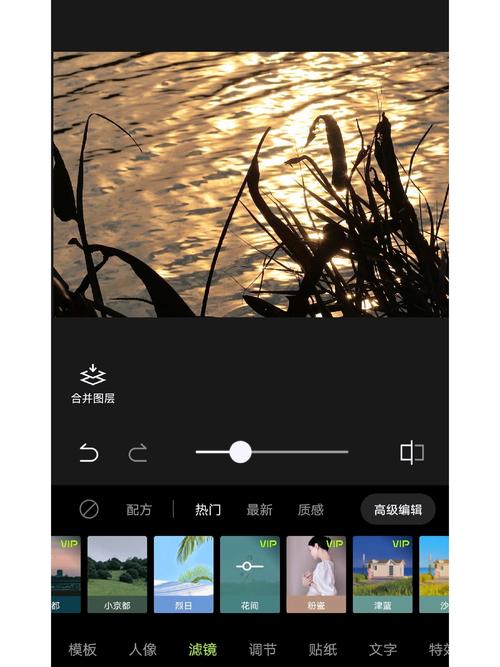 醒图VIP无限版使用方法