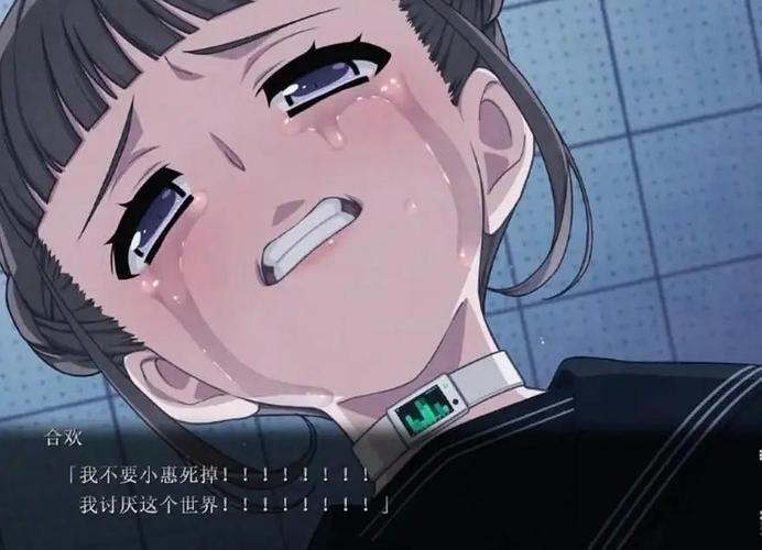 euphoria汉化版版仲夏版
全免版