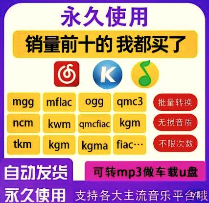 音乐解锁 Un净化版