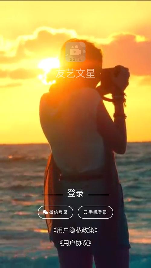 友文友艺文星平台友文