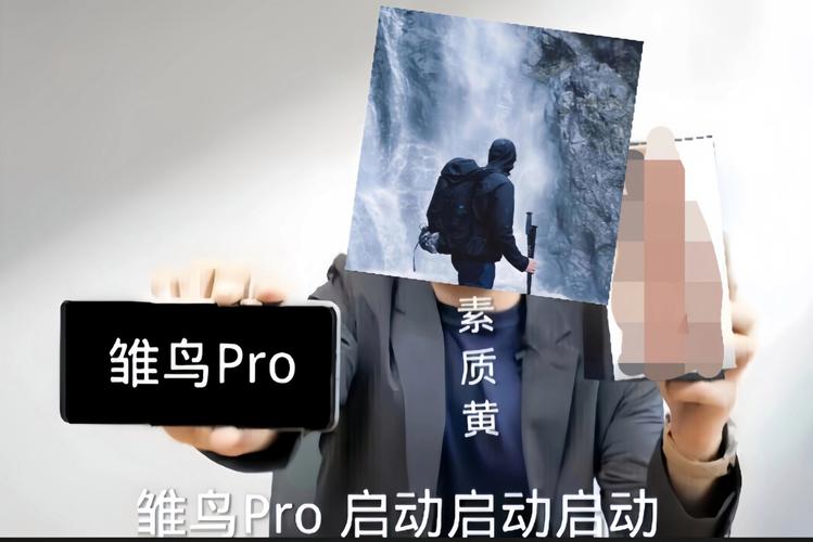 雏鸟pro版包雏鸟Pro版包是解锁全部书