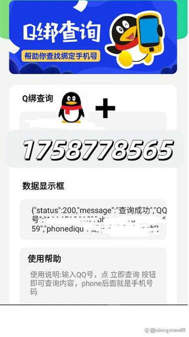 q绑查询小黑鸟贺岁版