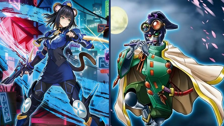游戏王ocg版红包正版