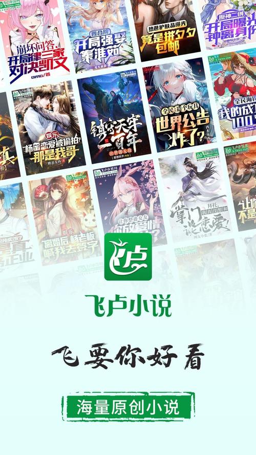 飞卢中文网手机网精简版