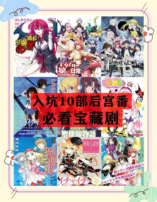 二次元后宫汉化发布版