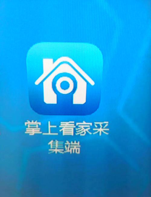 掌上看家手机观看端