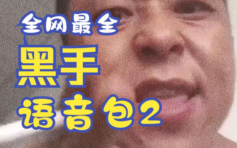 神鹰黑手哥音频无限流量