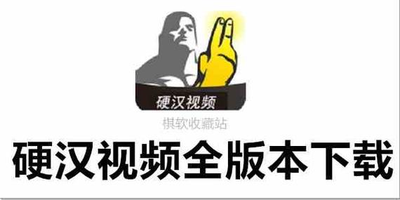 硬汉视频官网102