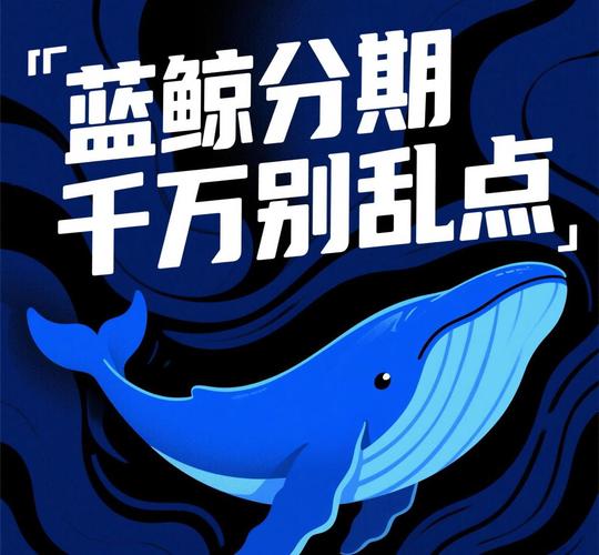 蓝鲸分期入口