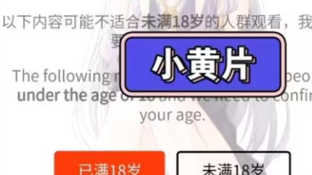 未满18岁不能的无广告无广告无卡密