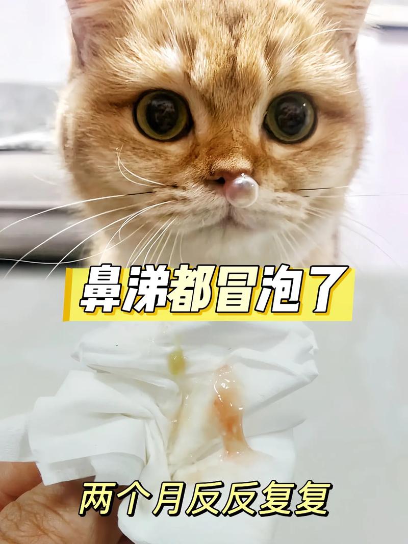 欢喜招财喵流鼻