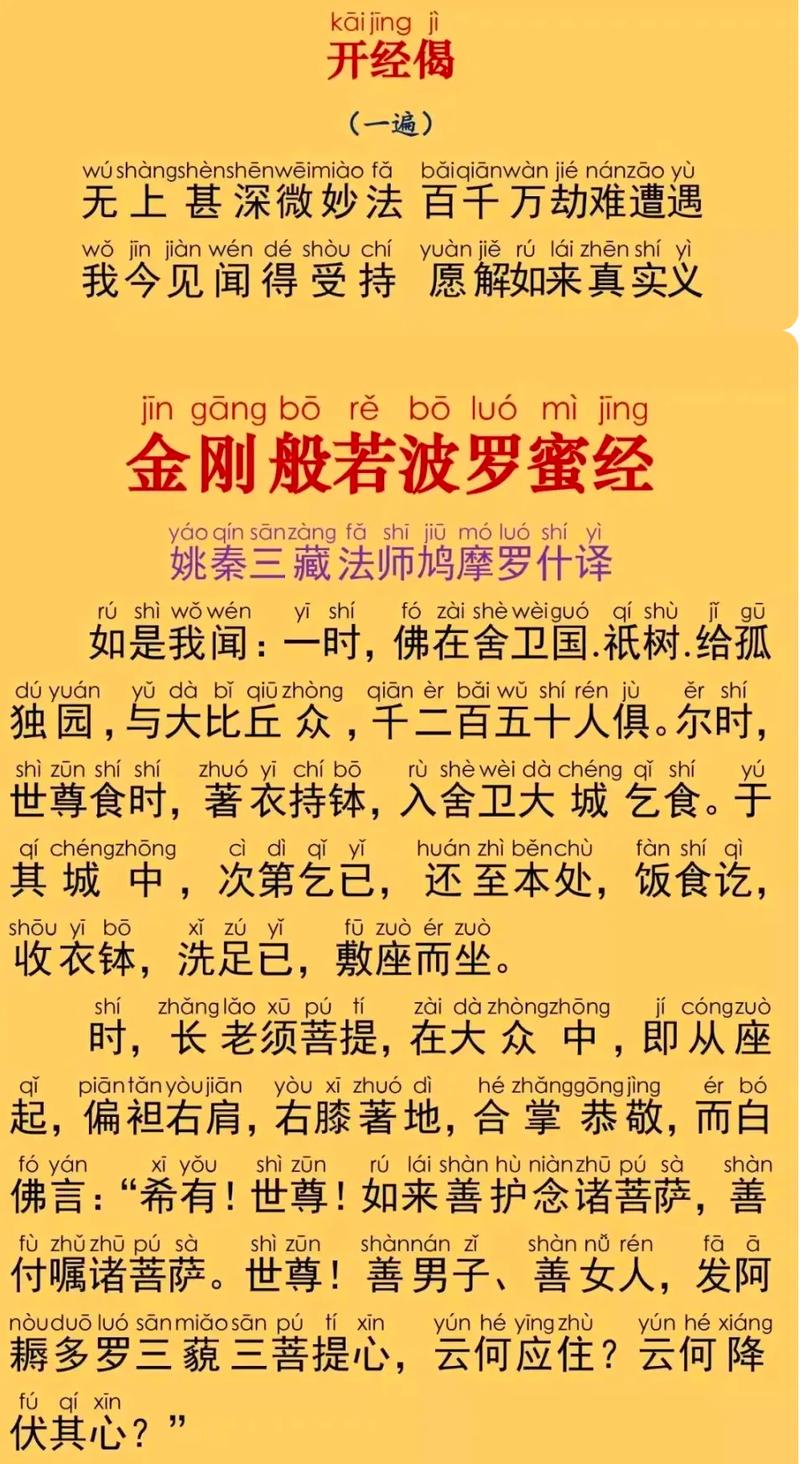 播放金刚经换源版