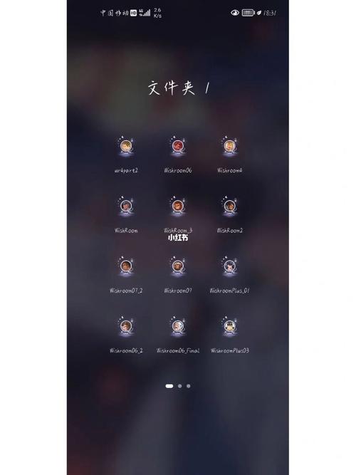 wishroom7汉化版黑科技无付费版