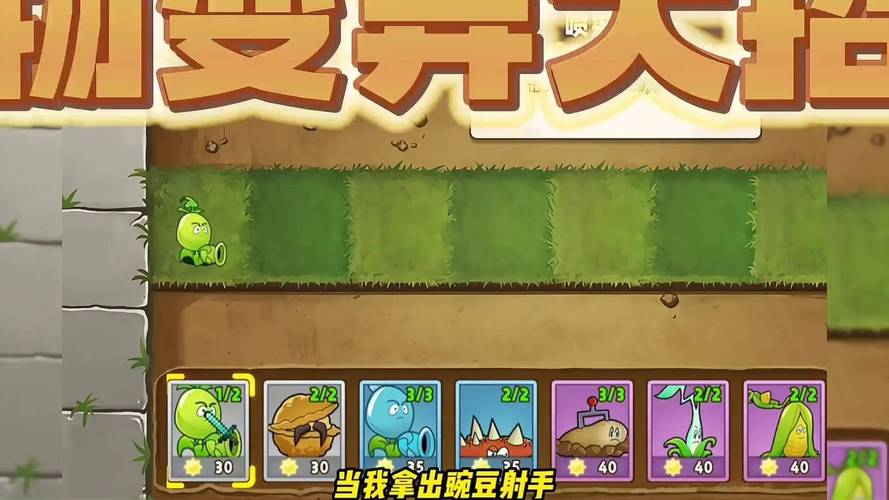植物大战僵尸大招版