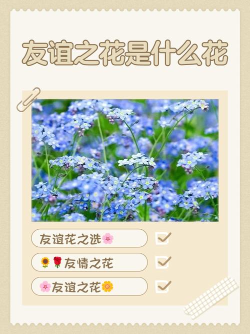 一花交友纪念版