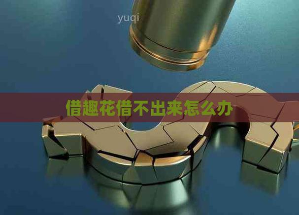 借趣花解锁版