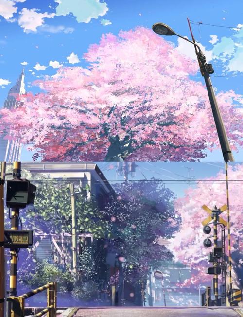 樱花动漫风车动漫安装免费高清影视绿色版