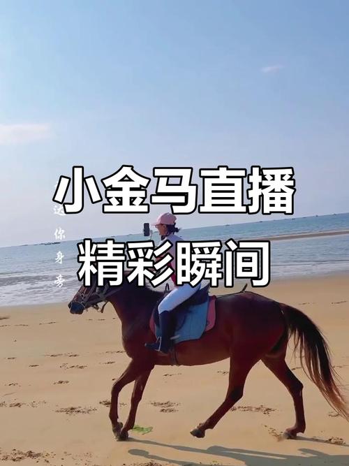 金马直播